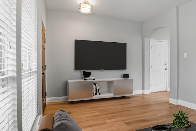 10833 Hawks Landing Rd, Fort Worth, TX 76052 - living room featuring baseboards and wood finished floors