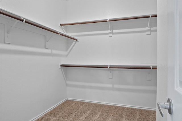10833 Hawks Landing Rd, Fort Worth, TX 76052 - spacious closet with carpet flooring
