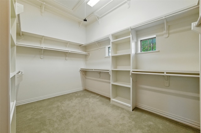 2004 Kodiak Ct, Arlington, TX 76013 - spacious closet with carpet floors