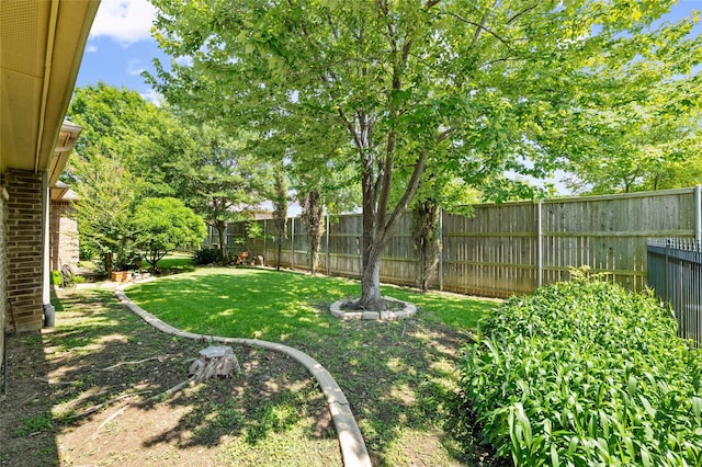 2004 Kodiak Ct, Arlington, TX 76013 - view of fenced backyard