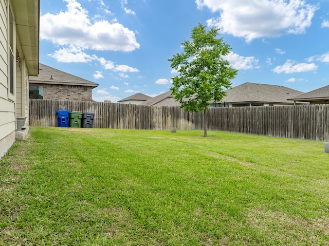 3216 Jackal Dr, Lorena, TX 76655 - view of yard