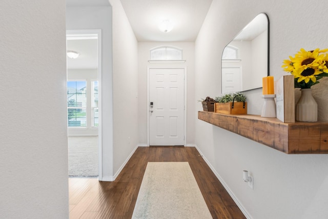 3216 Jackal Dr, Lorena, TX 76655 - entryway featuring dark wood-type flooring and baseboards