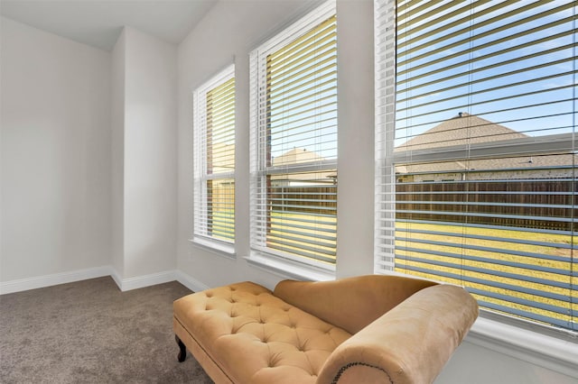 7216 Monet Ln, Grand Prairie, TX 75054 - sitting room with carpet flooring and baseboards