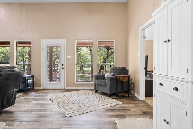 483 County Road 1591, Sunset, TX 76270 - doorway featuring a towering ceiling, wood finished floors, and baseboards
