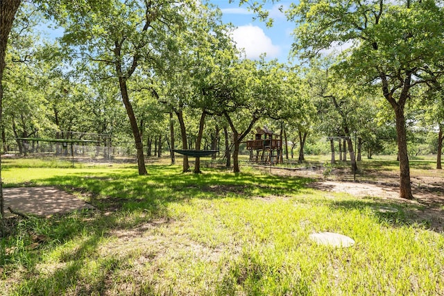 483 County Road 1591, Sunset, TX 76270 - view of yard
