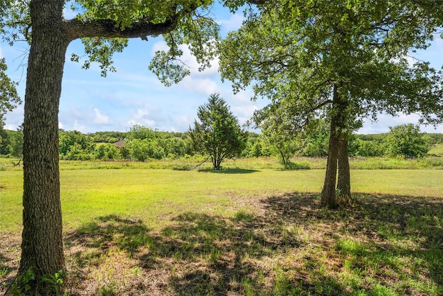 483 County Road 1591, Sunset, TX 76270 - view of green lawn