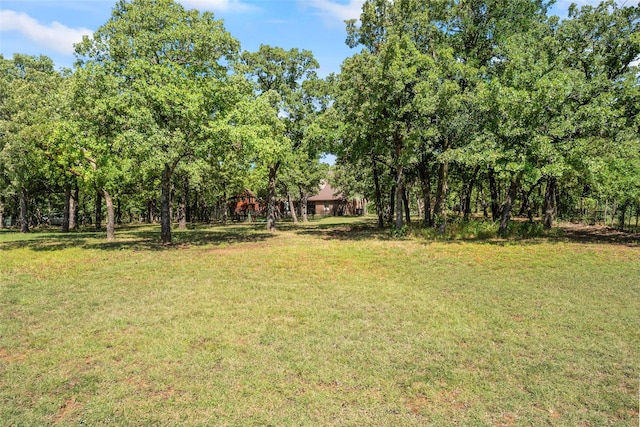 483 County Road 1591, Sunset, TX 76270 - view of green lawn