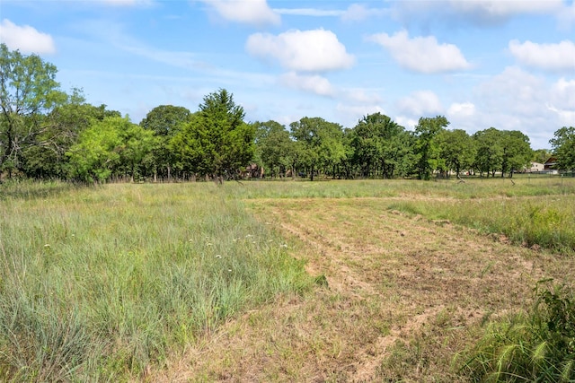 483 County Road 1591, Sunset, TX 76270 - view of undeveloped land featuring rural landscape