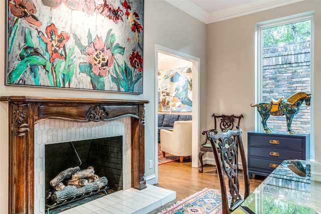 10 Carmarthen Ct, Dallas, TX 75225 - detailed view of wood finished floors, ornamental molding, a fireplace with raised hearth, and baseboards