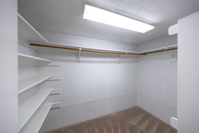 6900 Tudor Dr, Plano, TX 75023 - walk in closet featuring carpet floors