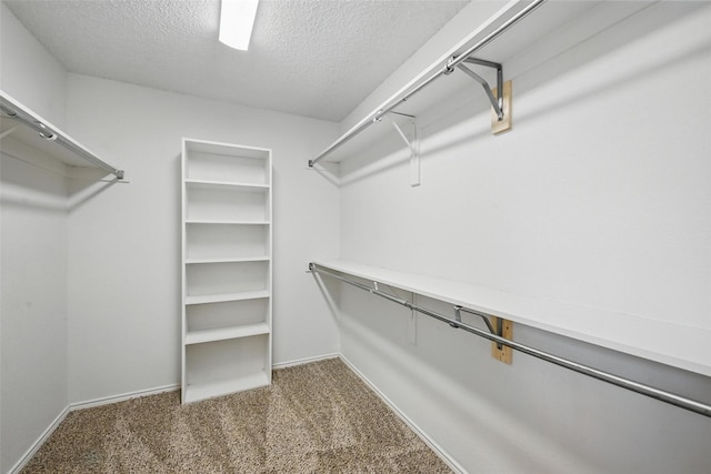 7208 Bouquet Dr, Frisco, TX 75035 - spacious closet featuring carpet flooring