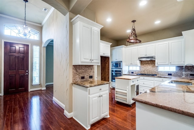 209 Pine Valley Ct, Fairview, TX 75069 - kitchen with a sink, arched walkways, stainless steel appliances, dark wood-style floors, and tasteful backsplash