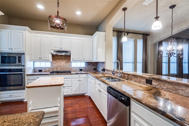 209 Pine Valley Ct, Fairview, TX 75069 - kitchen featuring stainless steel appliances, a sink, under cabinet range hood, tasteful backsplash, and healthy amount of natural light