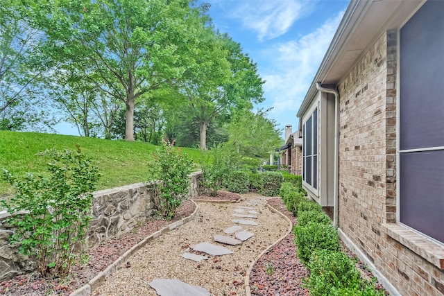 209 Pine Valley Ct, Fairview, TX 75069 - view of yard