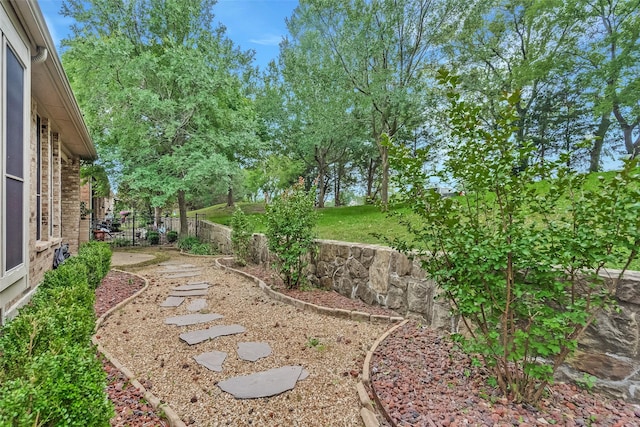 209 Pine Valley Ct, Fairview, TX 75069 - view of yard