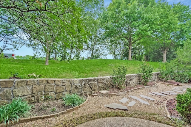 209 Pine Valley Ct, Fairview, TX 75069 - view of grassy yard