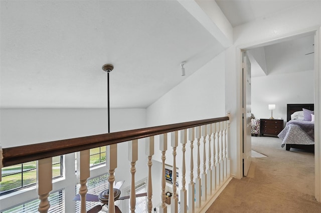211 Cimarron Trl Unit 8, Irving, TX 75063 - corridor featuring plenty of natural light and light carpet