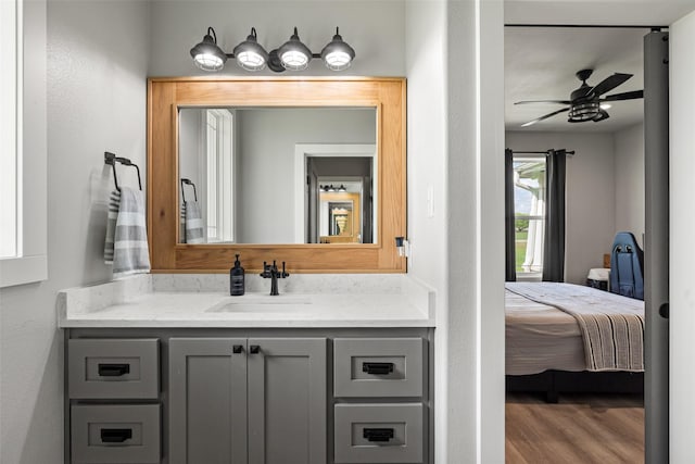 100 Tall Grass Ct, Weatherford, TX 76087 - ensuite bathroom featuring vanity, a ceiling fan, and wood finished floors