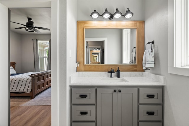 100 Tall Grass Ct, Weatherford, TX 76087 - bathroom featuring vanity, wood finished floors, ceiling fan, and ensuite bath