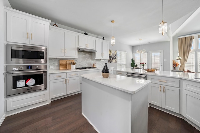 1708 Ordonez Dr, Little Elm, TX 75068 - kitchen with stainless steel appliances, under cabinet range hood, tasteful backsplash, and dark wood-style floors