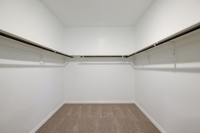 944 Linden Ct, Lavon, TX 75166 - walk in closet featuring carpet flooring