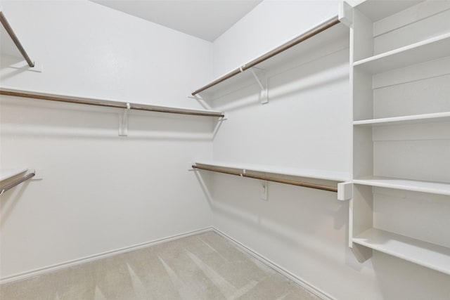 13100 Larks View Pt, Fort Worth, TX 76244 - spacious closet featuring carpet