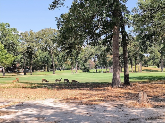 205 Saint Andrews Dr, Mabank, TX 75156