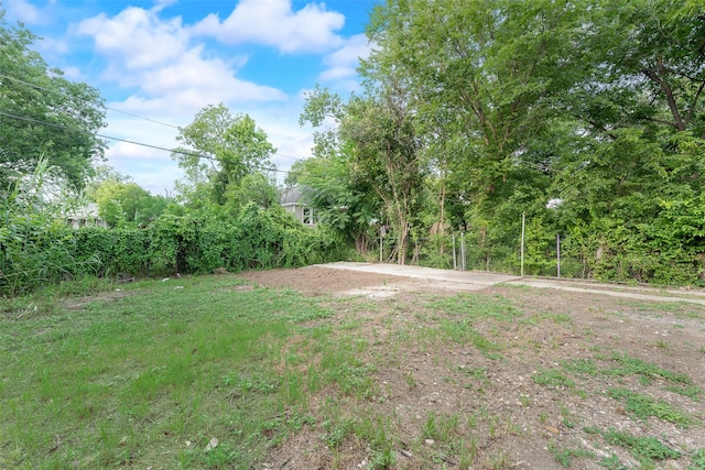 1113 Verbena St, Fort Worth, TX 76104 - view of yard