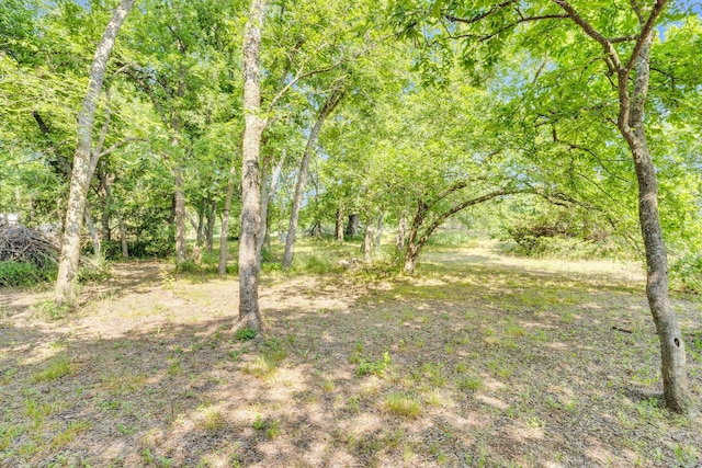 933 El Camino Rd, Waxahachie, TX 75167 - view of yard featuring a forest view