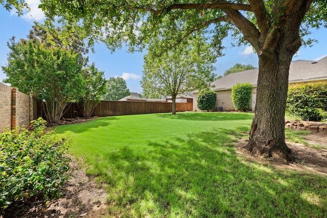 4013 Tulane St, Flower Mound, TX 75022 - view of yard