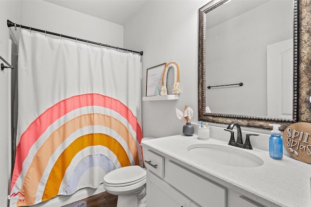 608 Ives Way, Haughton, LA 71037 - bathroom with vanity, toilet, and curtained shower