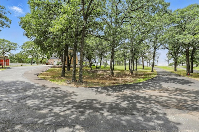 9816 County Road 603c, Burleson, TX 76028 - view of community with driveway