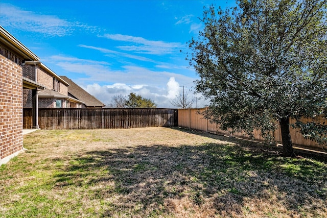 1029 Spring Falls Dr, Mckinney, TX 75071 - view of yard