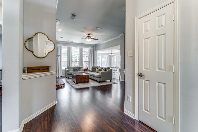 1611 N College St, Mckinney, TX 75069 - living room with baseboards, ceiling fan, dark wood-type flooring, and crown molding