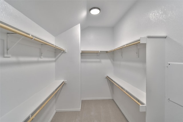 6817 Trail Rock, Benbrook, TX 76126 - walk in closet with carpet flooring and vaulted ceiling