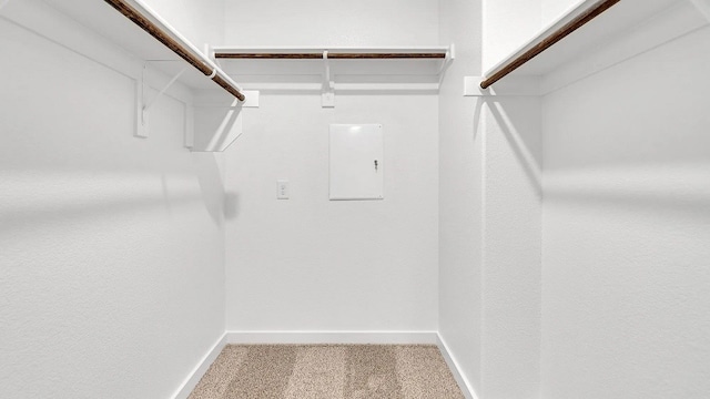 1304 Cole Dr, Trenton, TX 75490 - walk in closet with carpet floors
