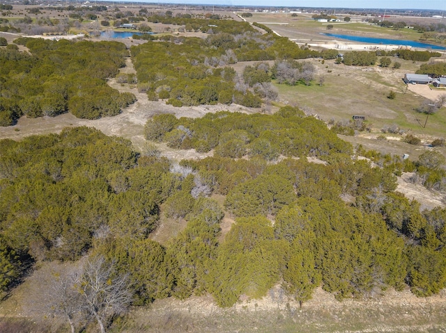 2400 Hermosa Hills Ct, Granbury, TX 76048