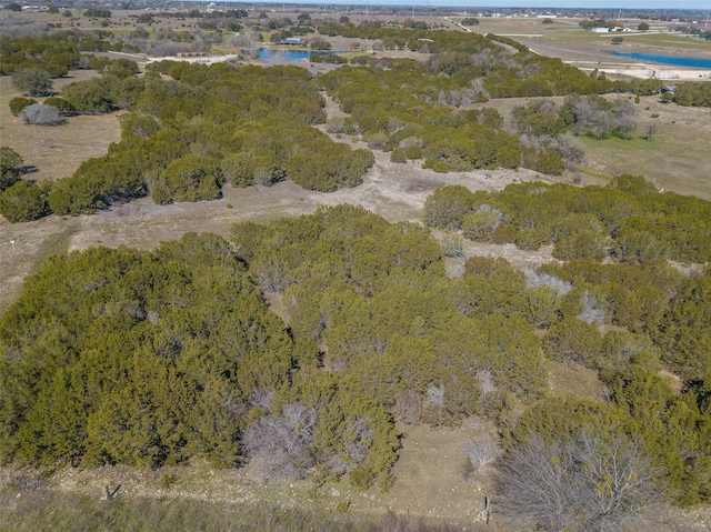 2400 Hermosa Hills Ct, Granbury, TX 76048