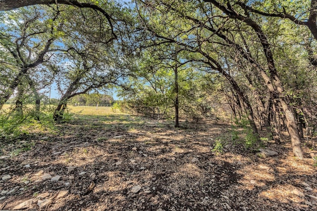 2400 Hermosa Hills Ct, Granbury, TX 76048