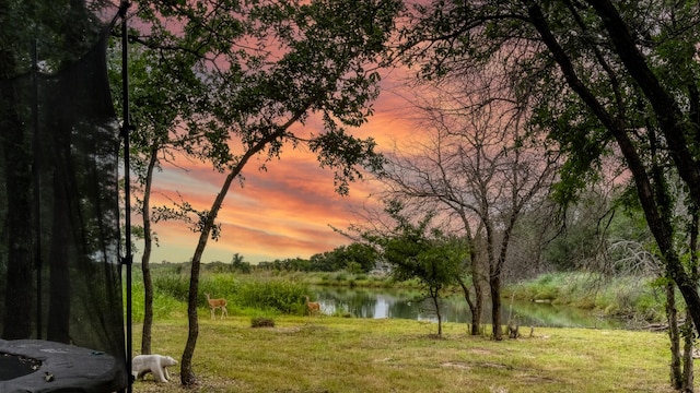 141 Lakeside Dr, Lipan, TX 76462 - water view