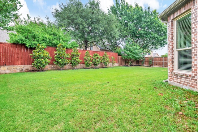 1200 Thornberry Dr, Mckinney, TX 75071 - view of yard