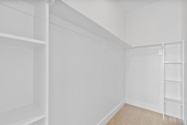 1128 Dixie Estates Way, Whitesboro, TX 76273 - walk in closet with carpet floors