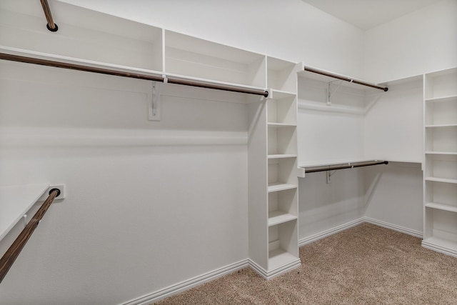 1022 Foolish Pleasure Dr, Terrell, TX 75160 - walk in closet with carpet floors