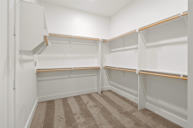 4665 Christie Ave, Caddo Mills, TX 75135 - walk in closet with carpet floors