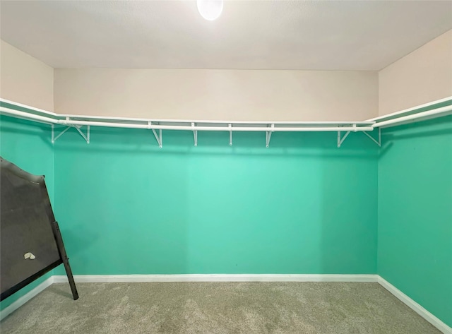 6133 Chalk Hollow Dr, Fort Worth, TX 76179 - spacious closet with carpet floors