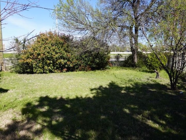 3409 Reed St, Fort Worth, TX 76119 - view of yard