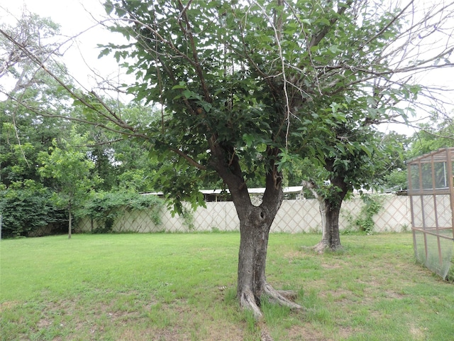 622 N Race, Stephenville, TX 76401 - view of yard
