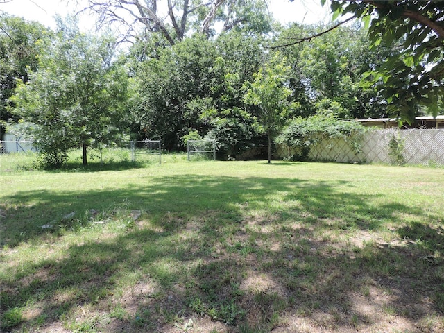 622 N Race, Stephenville, TX 76401 - view of yard