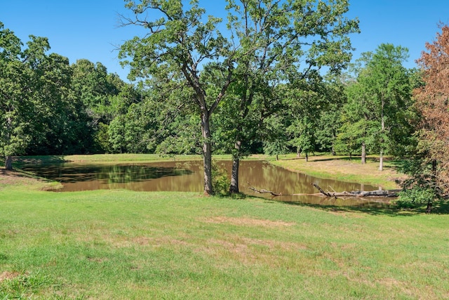 3893 E Fm 906, Powderly, TX 75473 - view of grassy yard with a water view and a wooded view