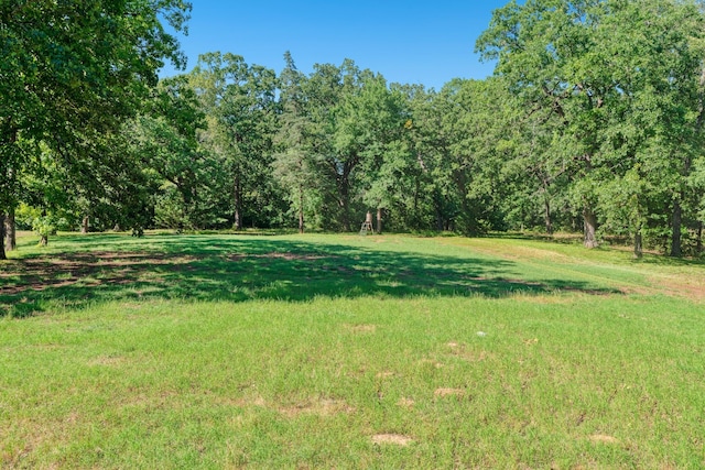 3893 E Fm 906, Powderly, TX 75473 - view of grassy yard featuring a view of trees